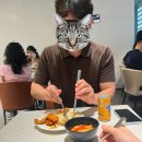 잠보나이트 | 아부다비 스탑오버 여행 총정리(일출사막투어, 루브르, 그랜드모스크, 에티하드항공)