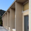 나무사이로 | 분당 판교 카페 나무사이로 석운 방문후기