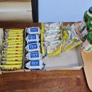 웰-라이프 이미지