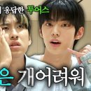 오토 오아시스 이미지