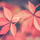 만수2동-9 이미지