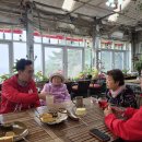 거제 거제도애광원 거제인터넷방송