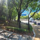 평촌중앙공원 입구 이미지