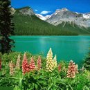 영진무역 이미지