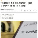 실시간 ㅈ됐다는 고려아연 숏친 투자자들.news 이미지