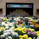 강화문예회관_대강당 이미지