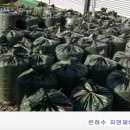 최영숙농장 네이버블로그