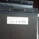 동방활법