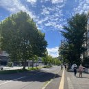 신사2-047 이미지