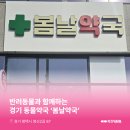 봄날약국 이미지