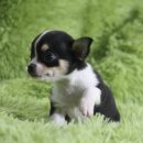 은아농장 이미지