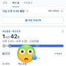 노벰버퍼스트 - 송파구 오금로17길 4 | 2025 잔나비 콘서트 모든소년소녀들 대구콘서트 후기
