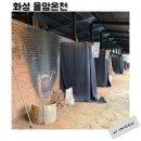 보림사우나 | 화성 율암온천 찜질하고 삼겹살먹기