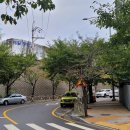 중계수암약국 | [100대명산]서울근교 조망이 빼어난 암봉 불암산 오르다 : 불암산관리사무소-4등산로(불암정, 쥐바위...