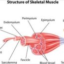 연세새롬의원 이미지