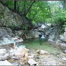 춘천승마장 이미지