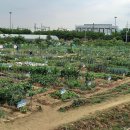 매호농장 이미지