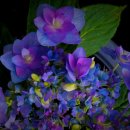 마이유기질비료 이미지