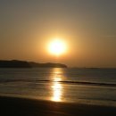 신도리-8 이미지