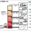 칼텍스석유 이미지