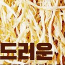 대풍농수산