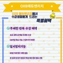 옥스비
