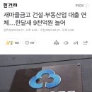 새마을금고 건설·부동산업 대출 연체…한달새 9천억원 늘어 이미지