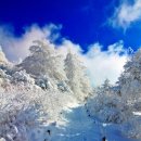 지리산 바래봉(1,167m,전북 남원 운봉 )눈꽃 산행 이미지