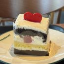 다오엠디 이미지