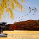 하늘365약국 이미지