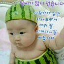 수세 이미지