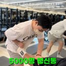 리스펙짐 행신점 이미지