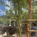 현규목장 이미지