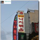 낙지뽁음개미집