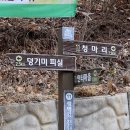 갈마농원 | 대청호 오백리길 11구간 “말티고개 길” ㅡ 안터선사공원에서 청마리폐교까지 이어 걷는다~^^