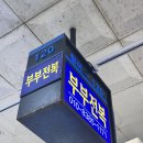 부부전복 | 노량진 수산시장 킹크랩 가격 총정리 | 부부전복 내돈내산 실구매 후기