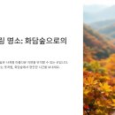 화담숲 예약 주변 맛집 후기