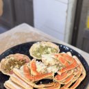 포항 죽도시장 대게 맛있는 집 가성비 추천 청춘대게 박달대게 시세 후기