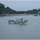 조개체험장  대죽 이미지