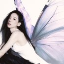 태연
