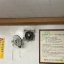 별난오리 이미지