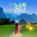 수일고속관광(합) | 라오스 3박5일 여행 - 루앙프라방·쾅시폭포·새벽탁발행렬 필수코스 #노랑풍선