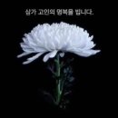 호산나 이미지