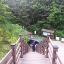 하늘재민박 이미지