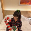 케이크트리(cake tree) | [크리스마스 케이크] 꼬팡케이크 Heart tree cake 2023 후기