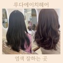루다에이치헤어 네이버블로그