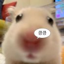 가든생선구이 | 서울 생선구이 맛집 '어촌식당' 솔직 후기! 임연수정식 먹어본 리얼 리뷰