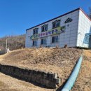 원주곤충마을박물관 | 원주곤충마을 박물관후기, 원주 갈만한 곳