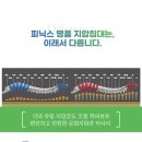 피닉스 지압침대 이미지