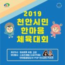 천안종합운동장 주경기장 이미지